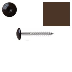Vis pour panneaux de façade 4,8x38 mm RAL 8017 brun chocolat Inox A2 par 100
