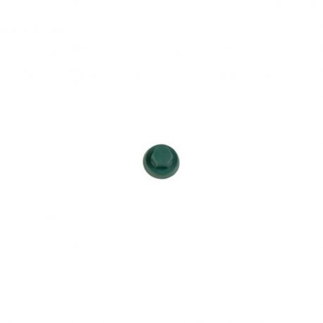 Capuchons RAL 6028 vert pour vis tête hexagonale de 8 mm
